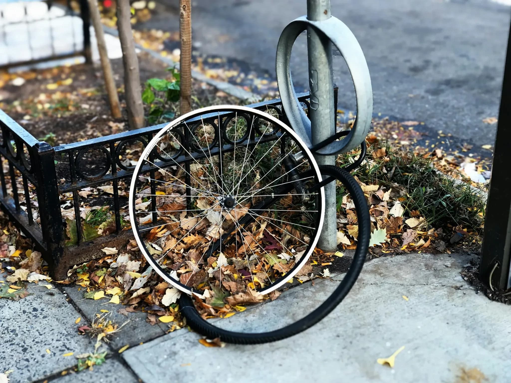 Achtergelaten fietswiel zonder frame, vastgeketend aan stadsfietsenrek tussen herfstbladeren.